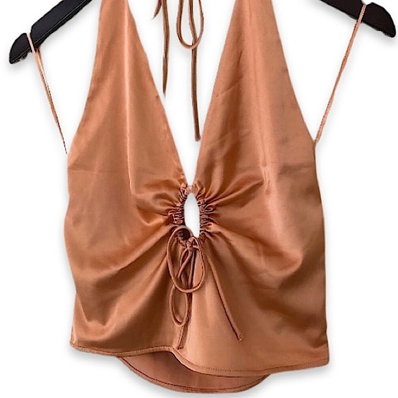 Abercrombie & Fitch Tops - Abercrombie & Fitch NWT's Lowcut Bronze Silky Tie Neck Halter Cutout Crop Top